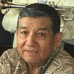 Meet your Posher, Elsa